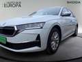 Skoda Octavia Combi 1.5 TSI DSG mHEV Selection KlimaA Kam SmartL Weiß - thumbnail 6
