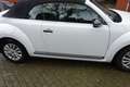 Volkswagen New Beetle New Beetle Cabriolet 1,2 TSI Wit - thumbnail 5