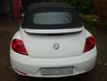 Volkswagen New Beetle New Beetle Cabriolet 1,2 TSI Wit - thumbnail 6
