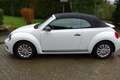 Volkswagen New Beetle New Beetle Cabriolet 1,2 TSI Wit - thumbnail 3