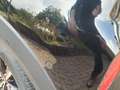 Ford Puma 125pk Titanium, Navi, AdCruise, Voorruitverw Noir - thumbnail 13