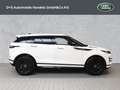 Land Rover Range Rover Evoque D165 Dynamic SE Weiß - thumbnail 6