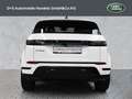 Land Rover Range Rover Evoque D165 Dynamic SE Weiß - thumbnail 7
