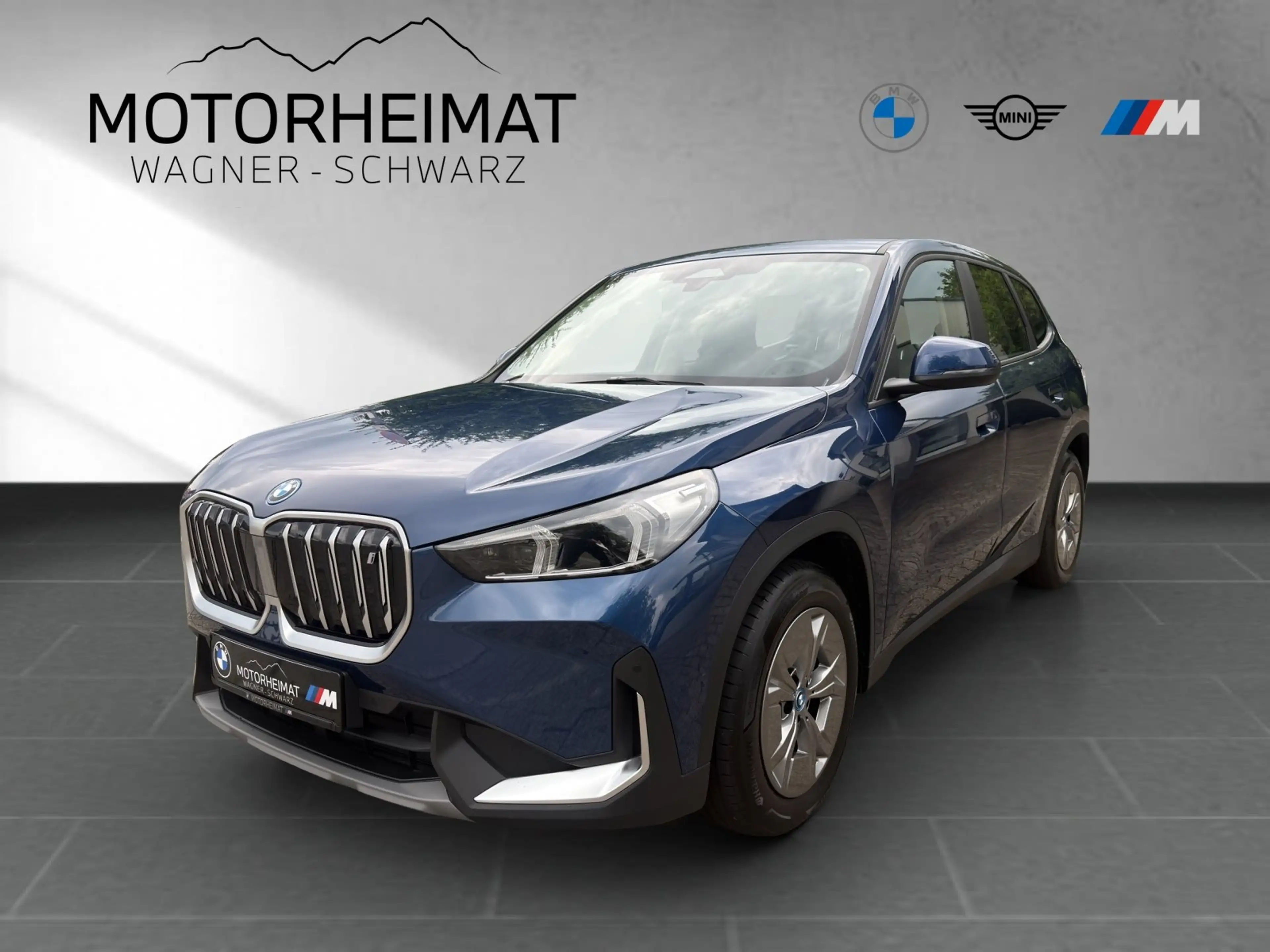 BMW iX1 xDrive30 RFK Sitzhzg Standhzg