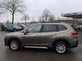 Subaru Forester 2.0ie Lineartronic Comfort smeđa - thumbnail 2