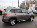Subaru Forester 2.0ie Lineartronic Comfort Brązowy - thumbnail 6