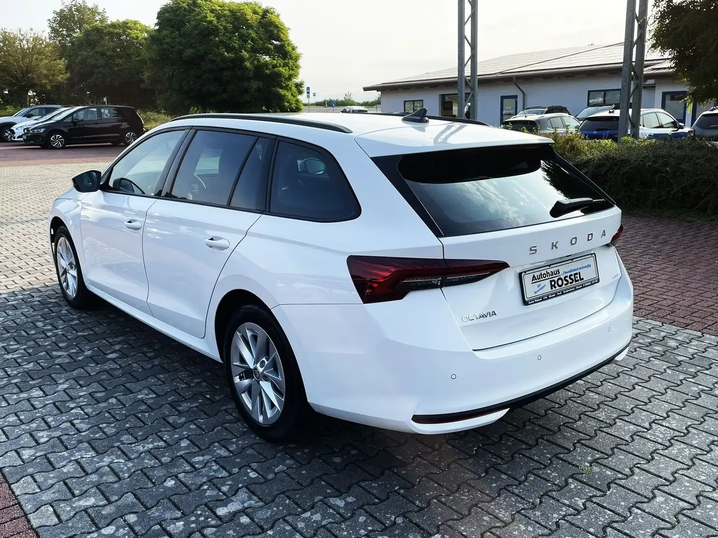 Skoda Octavia Combi DSG 2.0 TDI Selection Alu 17" LED Weiß - 2