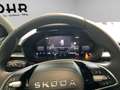 Skoda Fabia Selection (LED.DAB.PDC.GRA.SHZ) 1.0 TSI DSG Grijs - thumbnail 14