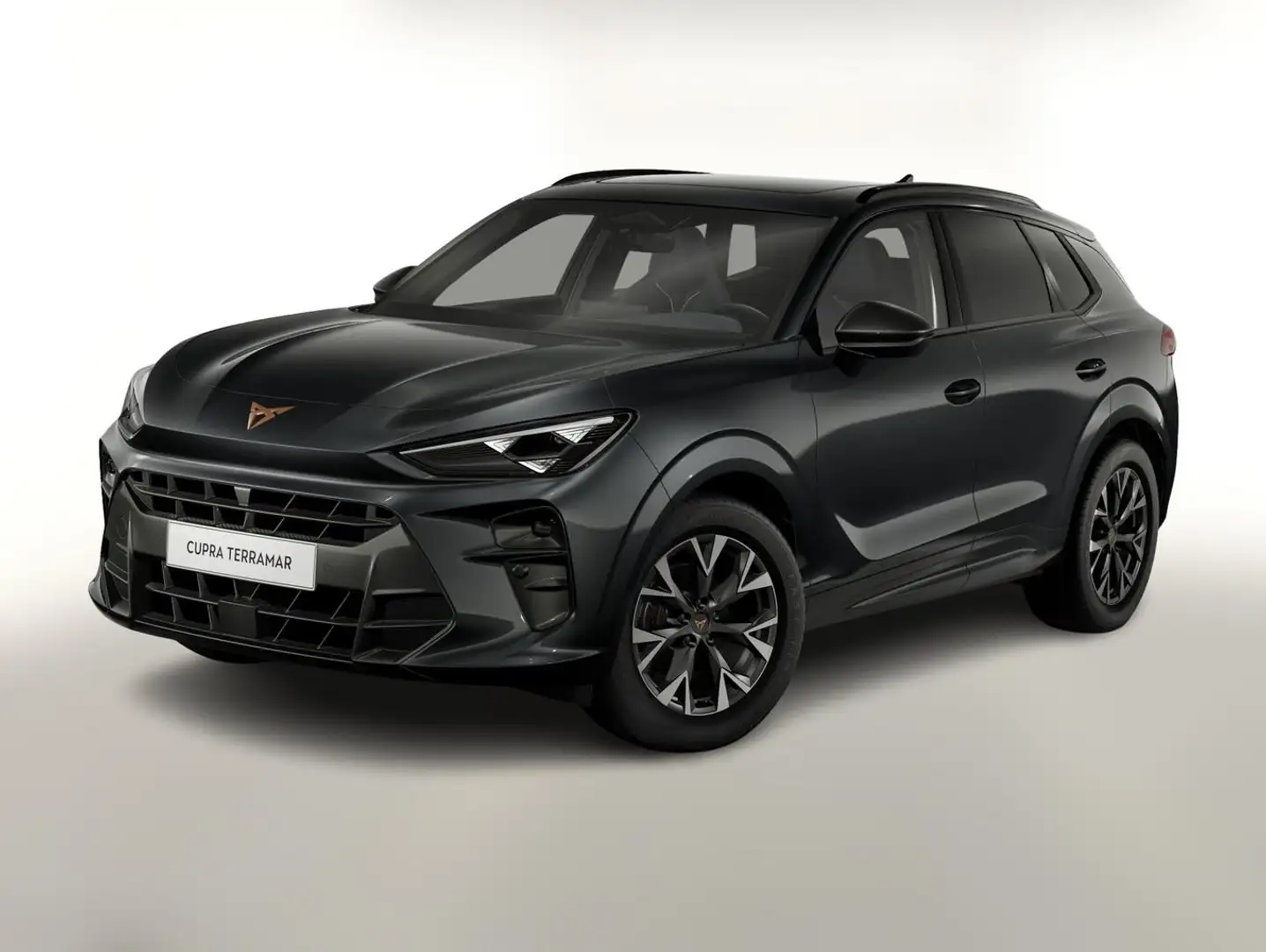 CUPRA Terramar 1.5 eTSI 150 DSG Pano EdgeP LED VirCo 110 kW (1... Grau - 1