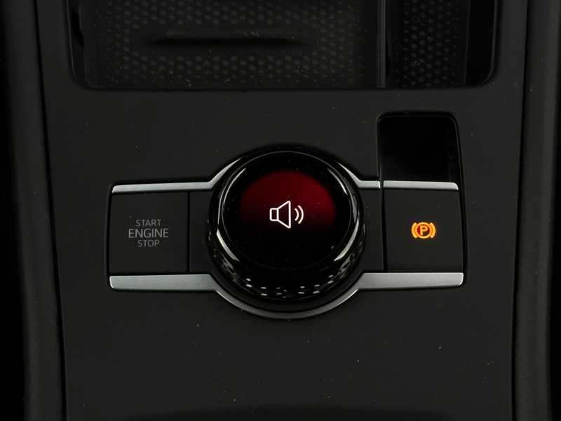 Volkswagen T-Roc R-Line First Edition | 'App-Connect' draadloze sma — photo 15