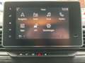 Renault Trafic COMBI BLUE dCi 150 LIFE RFK+LED+NAVI+SHZ Gris - thumbnail 18