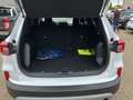 Ford Kuga Titanium + Ganzjahresreifen + Winter-Paket Blanc - thumbnail 21