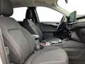 Ford Kuga Titanium + Ganzjahresreifen + Winter-Paket Blanc - thumbnail 14