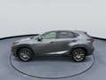 Lexus NX 300h AWD Luxury Line Leder Navigatiesysteem Achteruitri Gris - thumbnail 4
