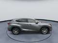 Lexus NX 300h AWD Luxury Line Leder Navigatiesysteem Achteruitri Gris - thumbnail 8
