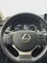 Lexus NX 300h AWD Luxury Line Leder Navigatiesysteem Achteruitri Gris - thumbnail 15