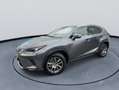 Lexus NX 300h AWD Luxury Line Leder Navigatiesysteem Achteruitri Gris - thumbnail 3