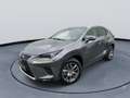 Lexus NX 300h AWD Luxury Line Leder Navigatiesysteem Achteruitri Gris - thumbnail 2