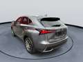 Lexus NX 300h AWD Luxury Line Leder Navigatiesysteem Achteruitri Gris - thumbnail 5
