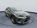 Lexus NX 300h AWD Luxury Line Leder Navigatiesysteem Achteruitri Gris - thumbnail 9