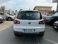 Volkswagen Tiguan 2.0 tdi Sport / 4X4 Bianco - thumbnail 5