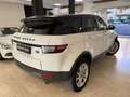 Land Rover Range Rover Evoque Range Rover Evoque 5p 2.0 td4 Autobiography 180cv Blanc - thumbnail 12