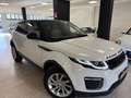 Land Rover Range Rover Evoque Range Rover Evoque 5p 2.0 td4 Autobiography 180cv Blanc - thumbnail 5