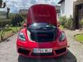 Porsche Boxster 718 Boxster 2.0 300cv pdk - thumbnail 8