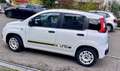 Fiat New Panda Sondermodell Young Fehér - thumbnail 3