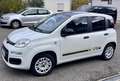 Fiat New Panda Sondermodell Young Fehér - thumbnail 2