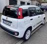 Fiat New Panda Sondermodell Young Fehér - thumbnail 4