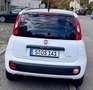 Fiat New Panda Sondermodell Young Fehér - thumbnail 5