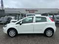 Fiat Punto 1.4 8V 5 porte Natural Power Lounge Weiß - thumbnail 1