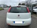 Fiat Punto 1.4 8V 5 porte Natural Power Lounge Weiß - thumbnail 4