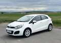 Kia Rio Rio 1,2 CVVT Cool Cool Weiß - thumbnail 6