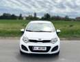 Kia Rio Rio 1,2 CVVT Cool Cool Weiß - thumbnail 7