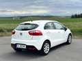 Kia Rio Rio 1,2 CVVT Cool Cool Weiß - thumbnail 10