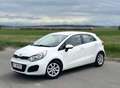 Kia Rio Rio 1,2 CVVT Cool Cool Weiß - thumbnail 3
