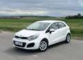 Kia Rio Rio 1,2 CVVT Cool Cool Weiß - thumbnail 2