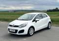 Kia Rio Rio 1,2 CVVT Cool Cool Weiß - thumbnail 5