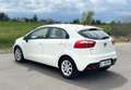 Kia Rio Rio 1,2 CVVT Cool Cool Weiß - thumbnail 15