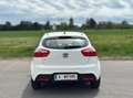 Kia Rio Rio 1,2 CVVT Cool Cool Weiß - thumbnail 13