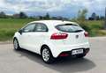 Kia Rio Rio 1,2 CVVT Cool Cool Weiß - thumbnail 14