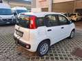 Fiat Panda Panda III 2016 1.2 Easy s Bianco - thumbnail 4