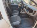 Fiat Panda Panda III 2016 1.2 Easy s Bianco - thumbnail 10