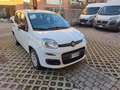 Fiat Panda Panda III 2016 1.2 Easy s Bianco - thumbnail 3