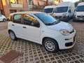 Fiat Panda Panda III 2016 1.2 Easy s Bianco - thumbnail 6