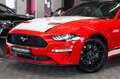 Ford Mustang Coupe|KLAPPEN-AGA|ACC|KAMERA|1.HAND|VOLL Rojo - thumbnail 3