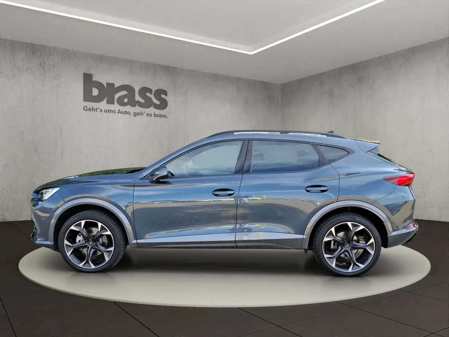 CUPRA Formentor 1.5 TSI DSG Rückfahrkamera Full Link Grau - 2