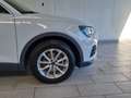Audi Q3 35 TDI intense Weiß - thumbnail 6